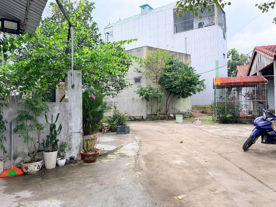 Đất Nguyễn Chánh, Liên Chiểu 114m² giá 3 tỷ - Đầu tư sinh lời ngay!