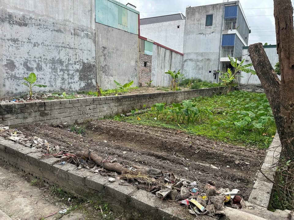 Đất nền Lê Lợi An Dương 113m² giá 2.375 tỷ - Cơ hội đầu tư sinh lời!