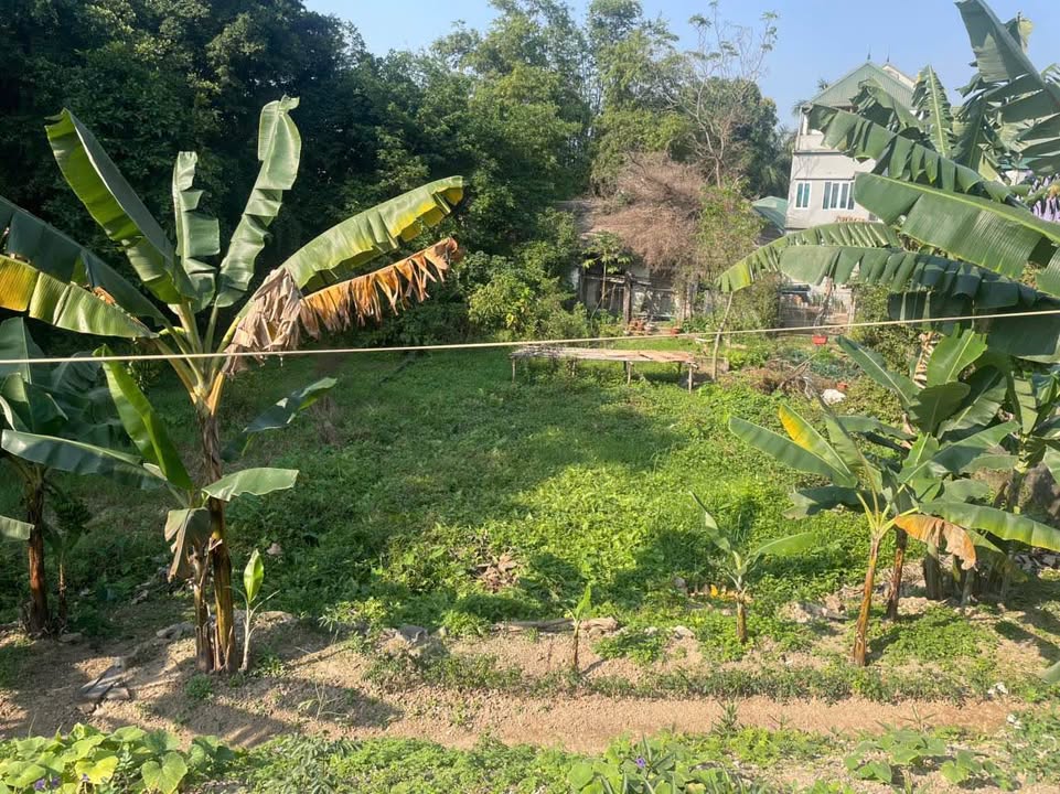 Đất mặt đê Thanh Tuyền, Phủ Lý 86m² - Mặt tiền 4.5m, thỏa thuận giá tốt!