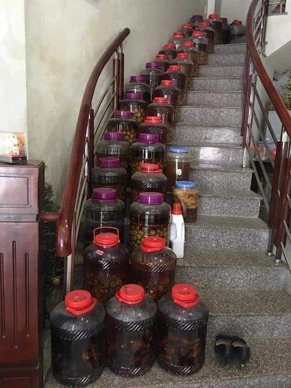 Đất nền Phú Cát 240m² giá chỉ 999 triệu - Cơ hội đầu tư tuyệt vời!