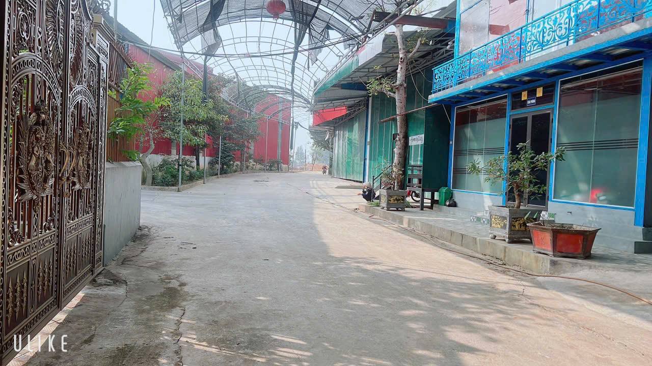 Đất nền Tân Minh, Sóc Sơn 88m² giá thỏa thuận - Cơ hội đầu tư hiếm có!