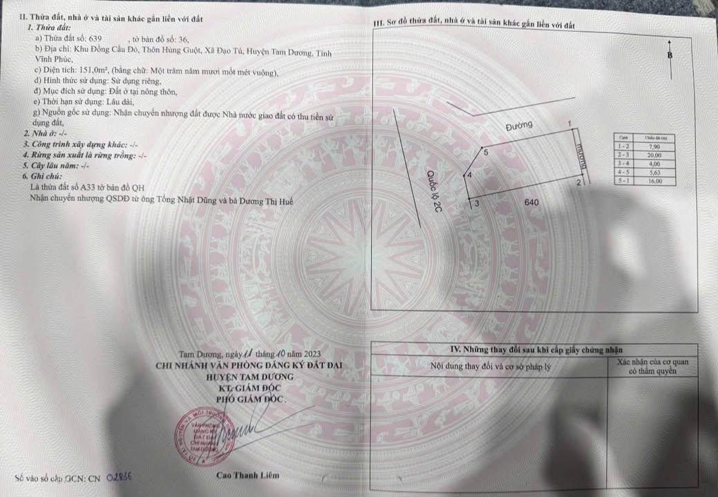 Đất lô góc 151m² tại Đạo Tú, Tam Dương - Kinh doanh sầm uất, giá 6 tỷ!