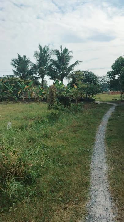 Lô đất Đức Lập Thượng 1000m² giá 2.55 tỷ - Cơ hội đầu tư lý tưởng!