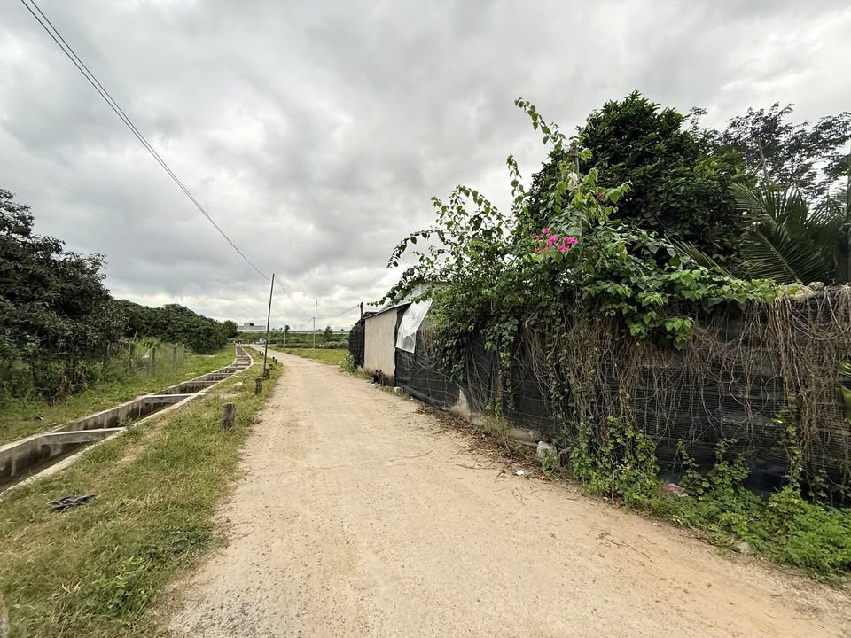 Đất vườn Suối Hiệp, Diên Khánh 3.057m² - Đầu tư lý tưởng cho nghỉ dưỡng!