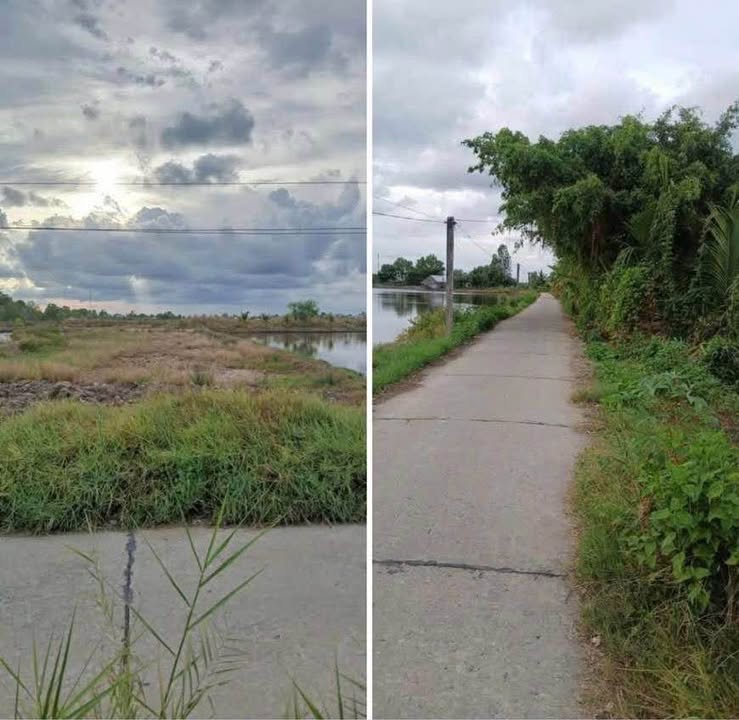 Đất mặt tiền kênh Lung Dừa, xã Lý Văn Lâm 593.4m² giá 450 triệu - Đầu tư sinh lời!