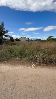 Lô đất thổ cư 250m² tại tổ dân phố 4B, Đắk Hà - Giá chỉ 600 triệu!