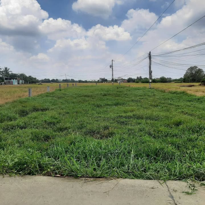 Đất thổ cư Long Định, Cần Đước 850m² giá 3 tỷ - Sổ đỏ chính chủ, tiện lợi cho xây dựng!