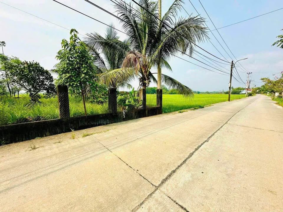 Đất mặt tiền thôn La Châu, xã Hòa Tiến 152m² giá 1 tỷ - Đầu tư sinh lời ngay!