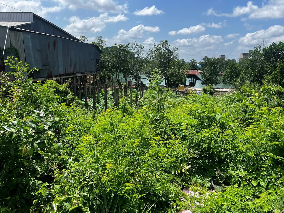 Đất nền 200m² tại ấp 1, xã Thanh Bình – Giá 2.6 tỷ, thương lượng ngay!