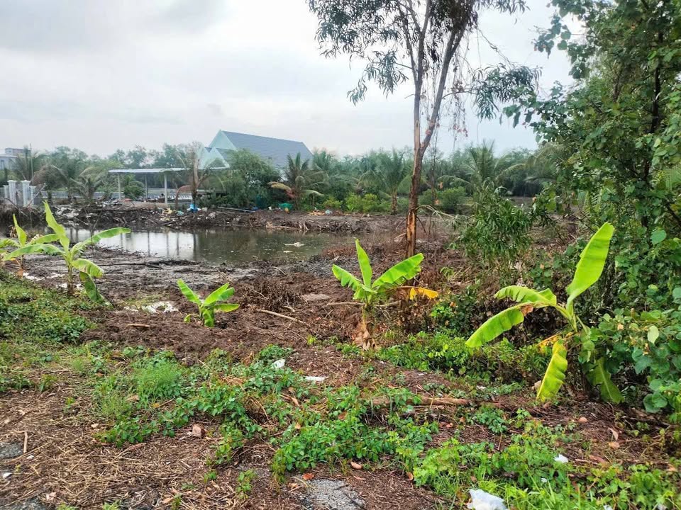 Đất nền Hòn Đất Kiên Giang 5000m² giá 1.55 tỷ - Đầu tư lý tưởng cho khu nghỉ dưỡng!