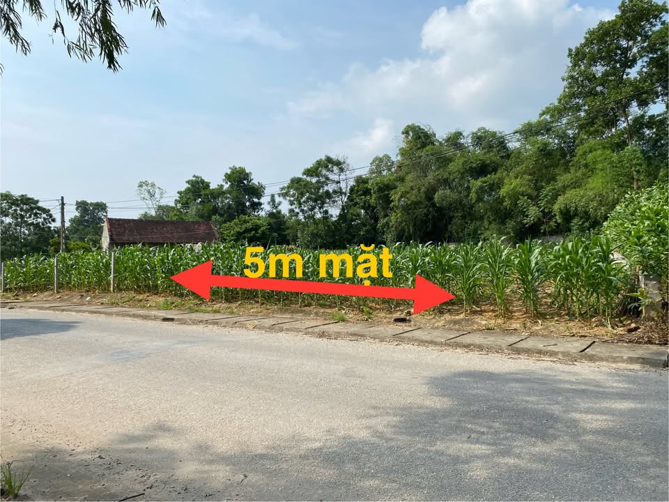 Đất nền Tu Vũ, Thanh Thủy 190m² giá 900 triệu - Vị trí đắc địa kinh doanh ngay!