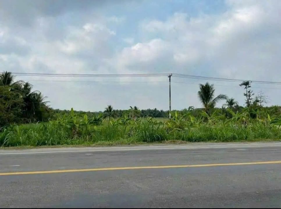 Đất nền mặt tiền Huỳnh Tấn Phát, Phú Tân 4000m² chỉ 14.4 tỷ - Cơ hội đầu tư tuyệt vời!