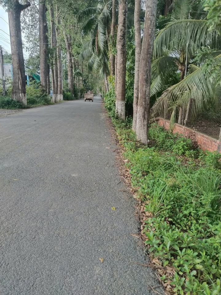 Đất nền Thạnh Phú 336m² giá 1.6 tỷ - Kinh doanh sầm uất ngay trung tâm!