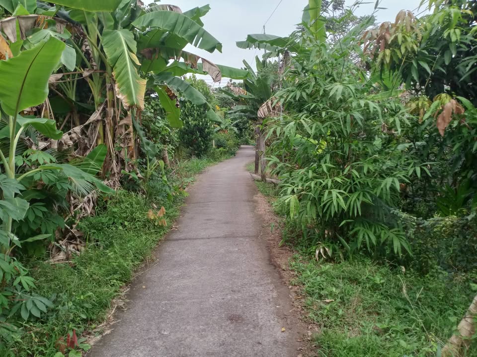 Nhà cấp 4 Tân Mỹ, Trà Ôn 630m² giá 650 triệu - Cơ hội đầu tư tuyệt vời!