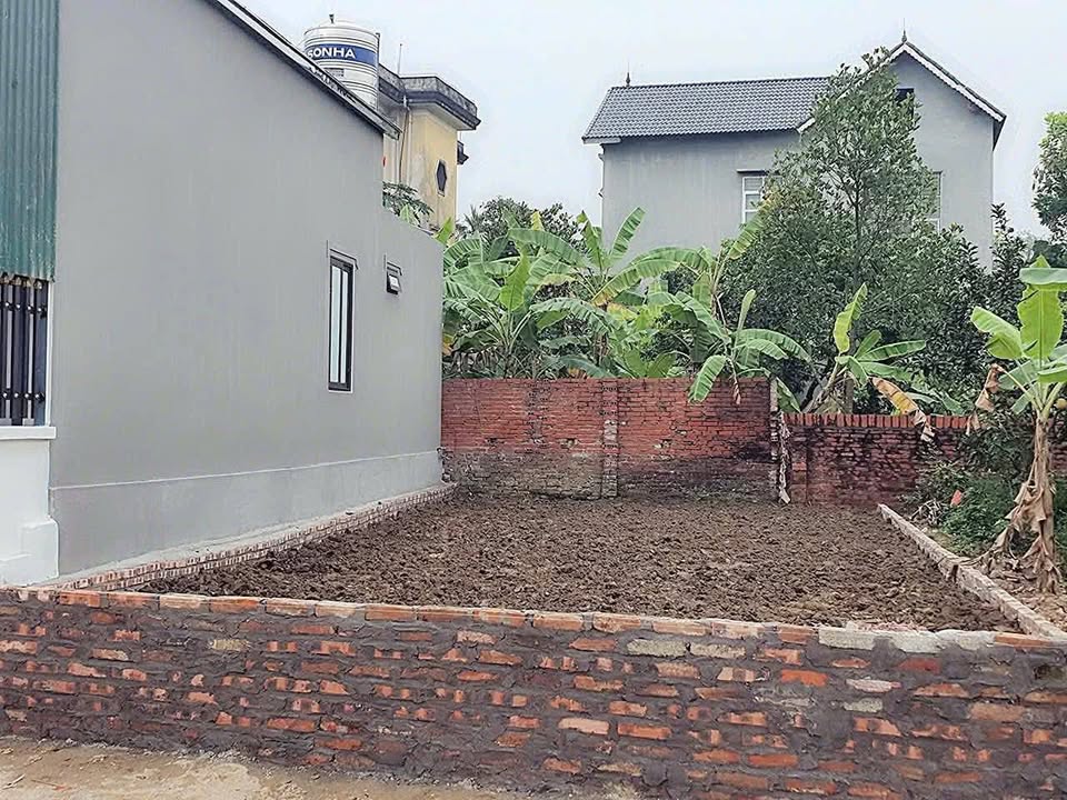 Đất nền Tam Hồng Vĩnh Phúc 101m² giá chỉ 1 tỷ - Đầu tư sinh lời ngay!