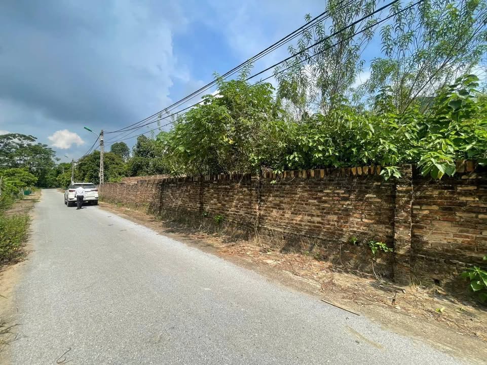 Đất nền tại TDP Tấm, Định Trung, Vĩnh Yên 379m² chỉ 3.79 tỷ - Vị trí đắc địa, giá tốt!