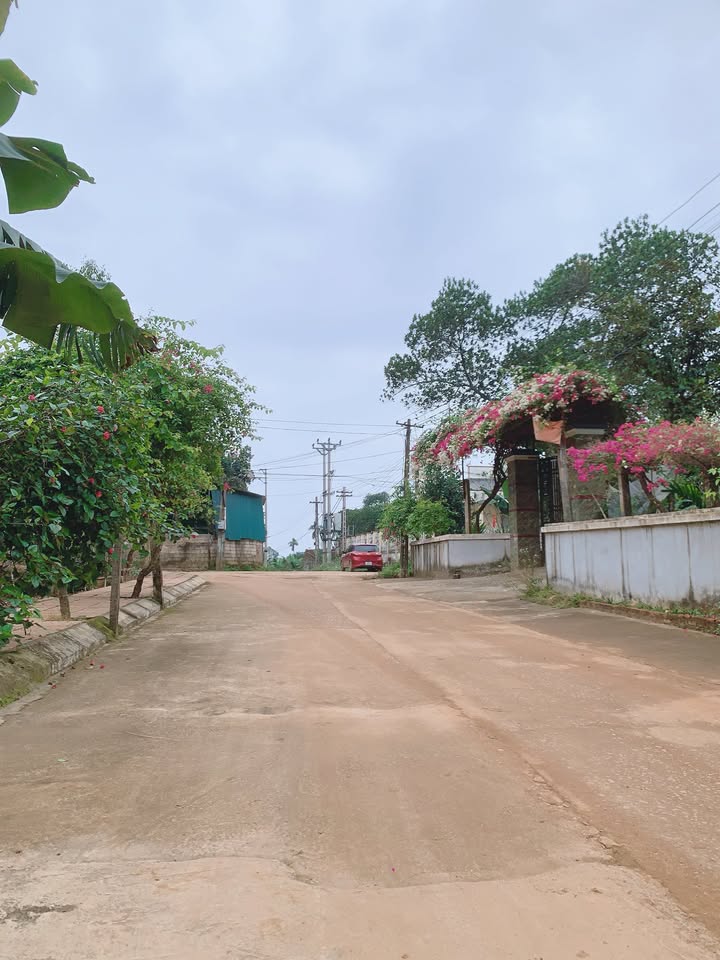 Đất ở Thọ Tân, Triệu Sơn 103m² chỉ 300 triệu - Cơ hội đầu tư tốt!