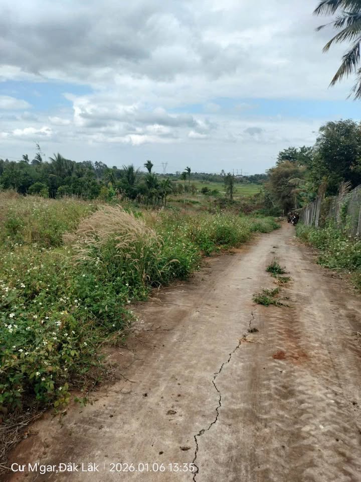 Đất nền Cư Suê Cư M'gar 3100m² giá 3.2 tỷ - Đầu tư sinh lời lý tưởng!