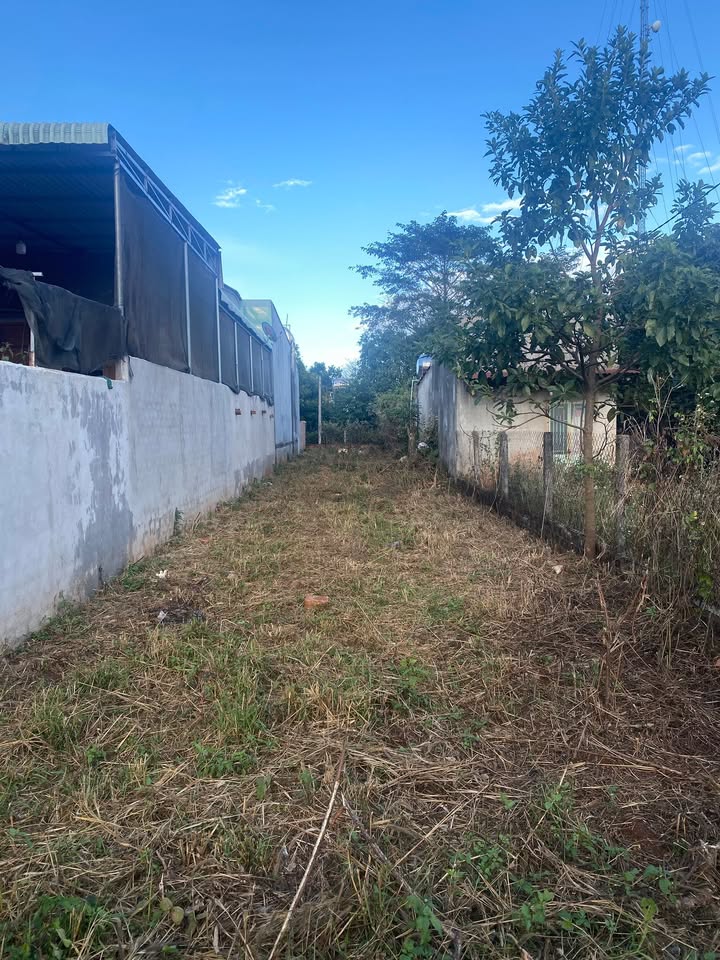 Đất nền thổ cư Hồ Nước, Chư Sê 240m² giá 650 triệu - An cư lý tưởng!