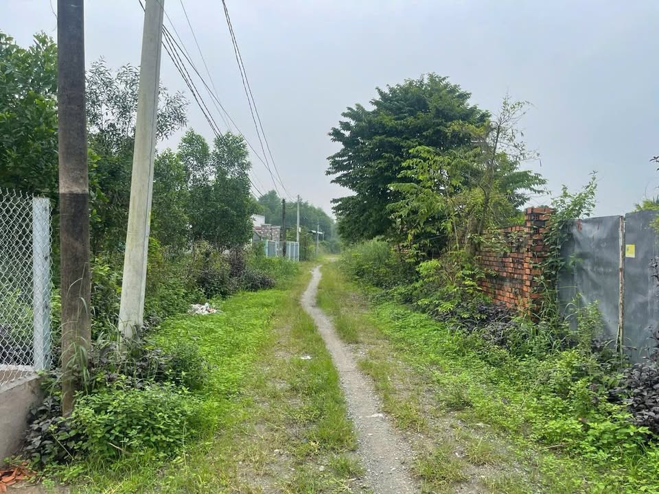 Đất Vườn Phước An Nhơn Trạch 1000m² giá 3.9 tỷ - Khu dân cư đông đúc!