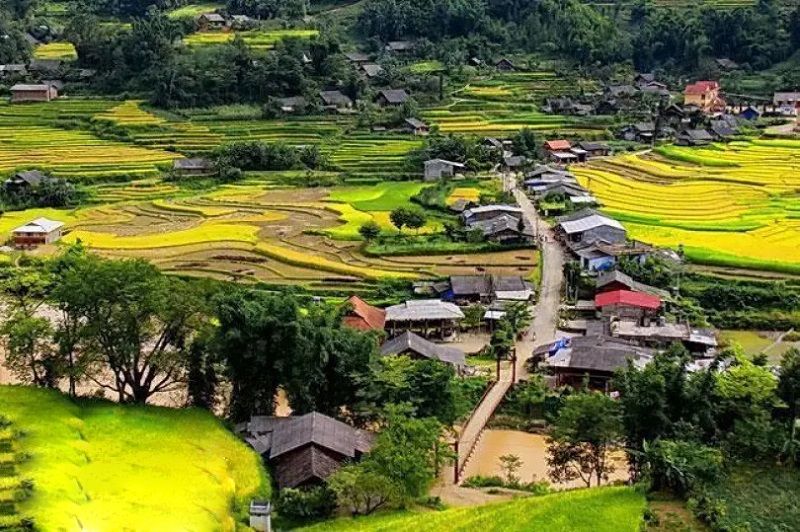 Đất nền Tả Phìn - Sa Pa 220m² giá chỉ 1.x tỷ - Cơ hội đầu tư hiếm có!