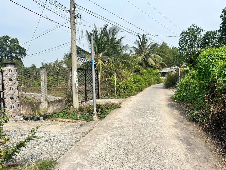 Đất thổ cư 300m² tại ấp 8, xã Nhựt Chánh, Bến Lức - Giá chỉ 1.1 tỷ, sổ đỏ chính chủ!