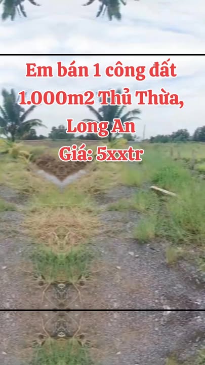 Đất vườn 1000m² xã Tân Thành, huyện Thủ Thừa - Giá chỉ từ 5×× triệu VND, phù hợp làm farm hoặc nhà vườn!