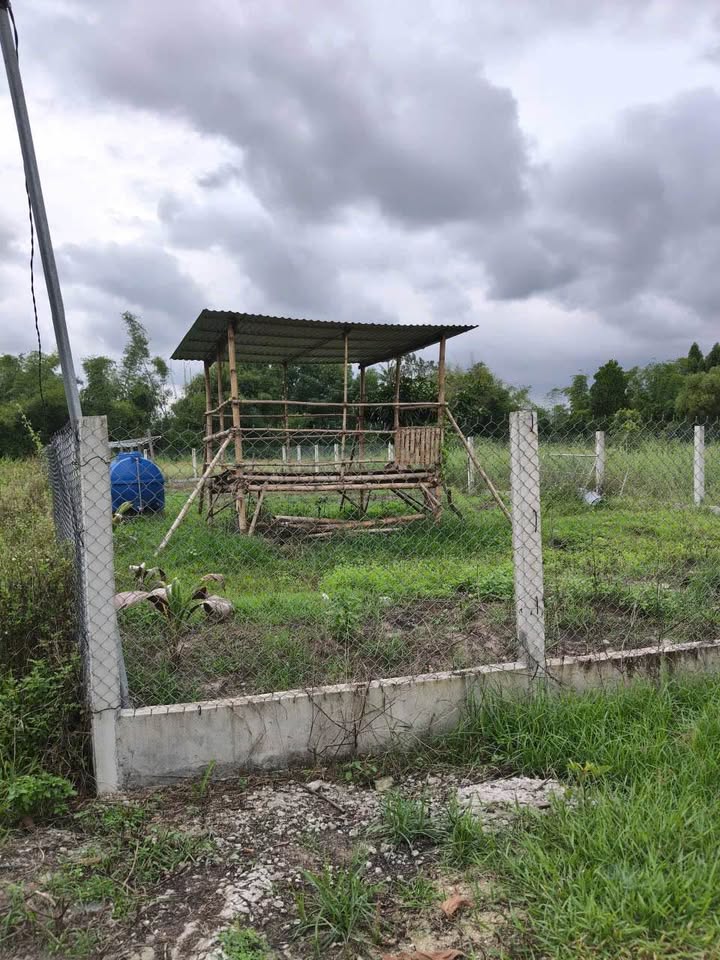 Đất nền Đức Lân 200m² giá 89 triệu - Sổ đỏ chính chủ, ô tô vào tận nơi!