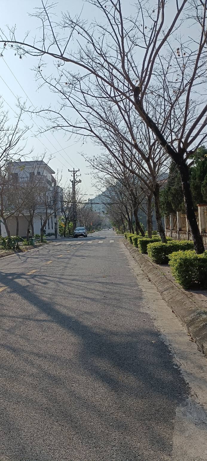 Đất nền đường Trần Minh Công, huyện Hoa Lư, 90m² - Vị trí đắc địa gần công an huyện