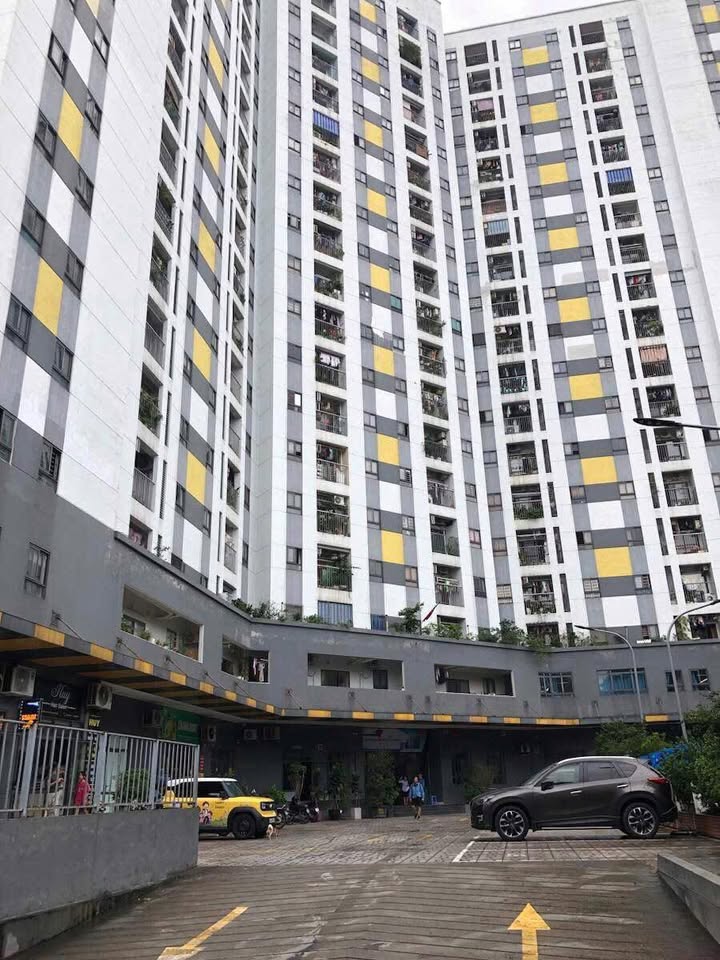 Căn hộ Rice City Sông Hồng Thượng Thanh 50m² giá 4 tỷ - Đầu tư sinh lời ngay!