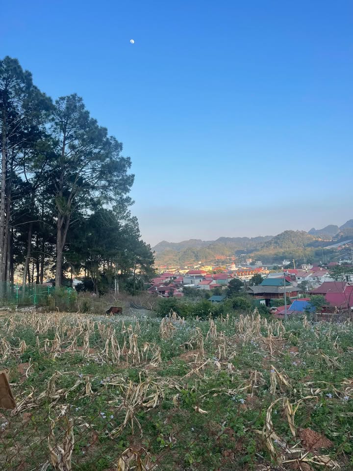 Đất nền TDP Tiền Tiến, Phường Vân Sơn 125m² giá 4 tỷ - Cơ hội đầu tư tuyệt vời!