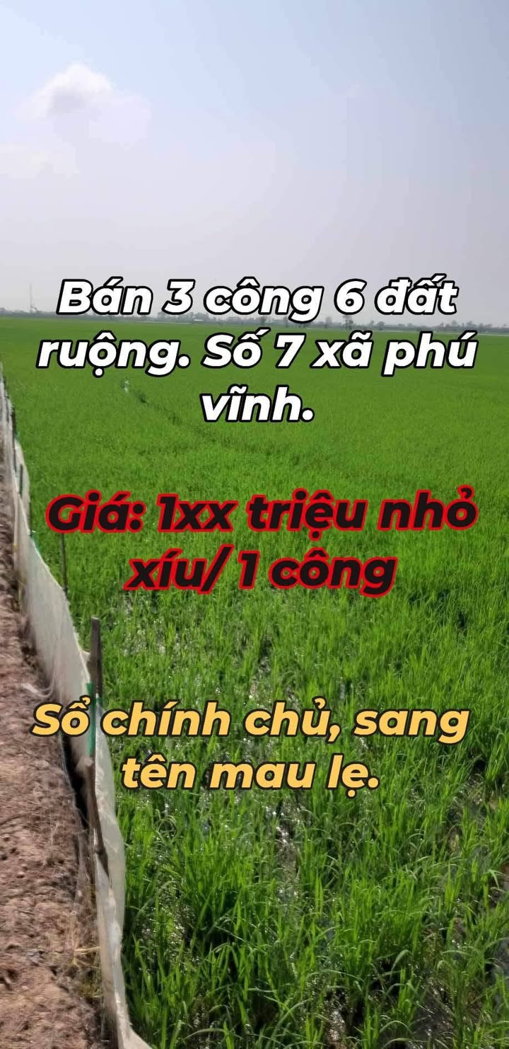 Đất ruộng chính chủ 3 công 6 tại xã Phú Vĩnh, Tân Châu, An Giang - Giá hợp lý chỉ 432 triệu