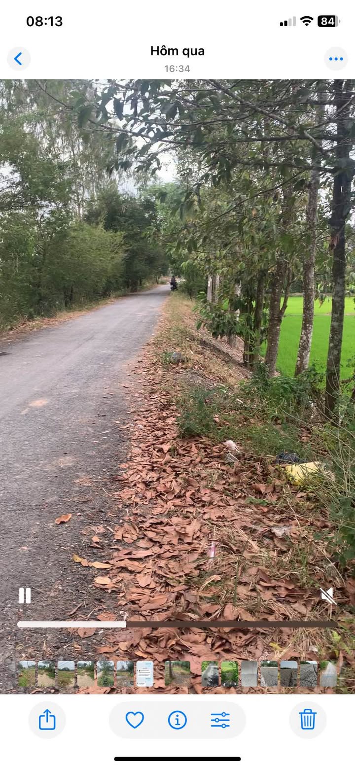 Bán 3 Công Vườn Mặt Tiền Đường Lẫm, Phường Châu Phú B, Châu Đốc 3000m² - Cơ Hội Đầu Tư Sinh Lời!