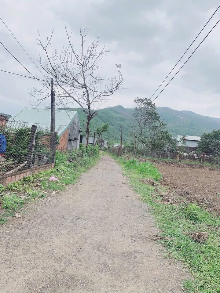 Bán lô đất nhà vườn 1350m² tại Thôn Thọ Tân Bắc, An Nhơn - Đầu tư lý tưởng!