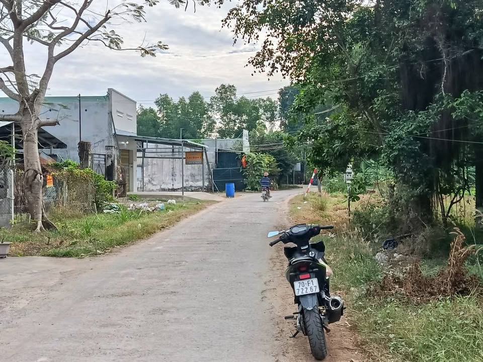 Đất thổ cư 344m² An Lợi - An Hòa - Tây Ninh giá 1.8 tỷ - Mặt tiền nhựa, đầu tư sinh lời!