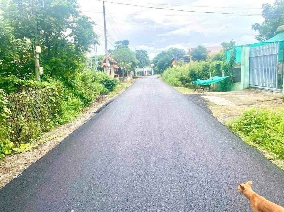 Đất nền Tân Hoà - Phú Mỹ 1300m² giá 2.9 triệu/m² - Đầu tư sinh lời ngay!