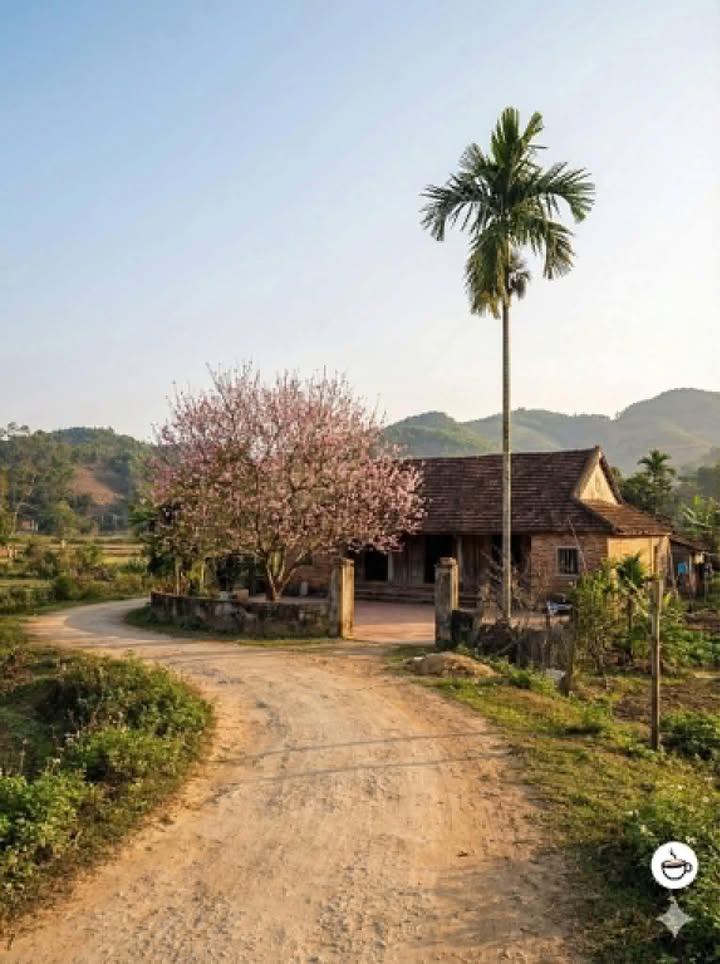 Đất nền phường Trương Quang Trọng 100m² giá 590 triệu - Hẻm thông, tiện lợi!