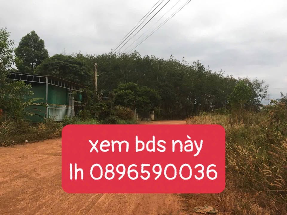 Đất Tân Đồng Đồng Xoài 390m² giá 1.3 tỷ - Sổ hồng chính chủ, thương lượng!