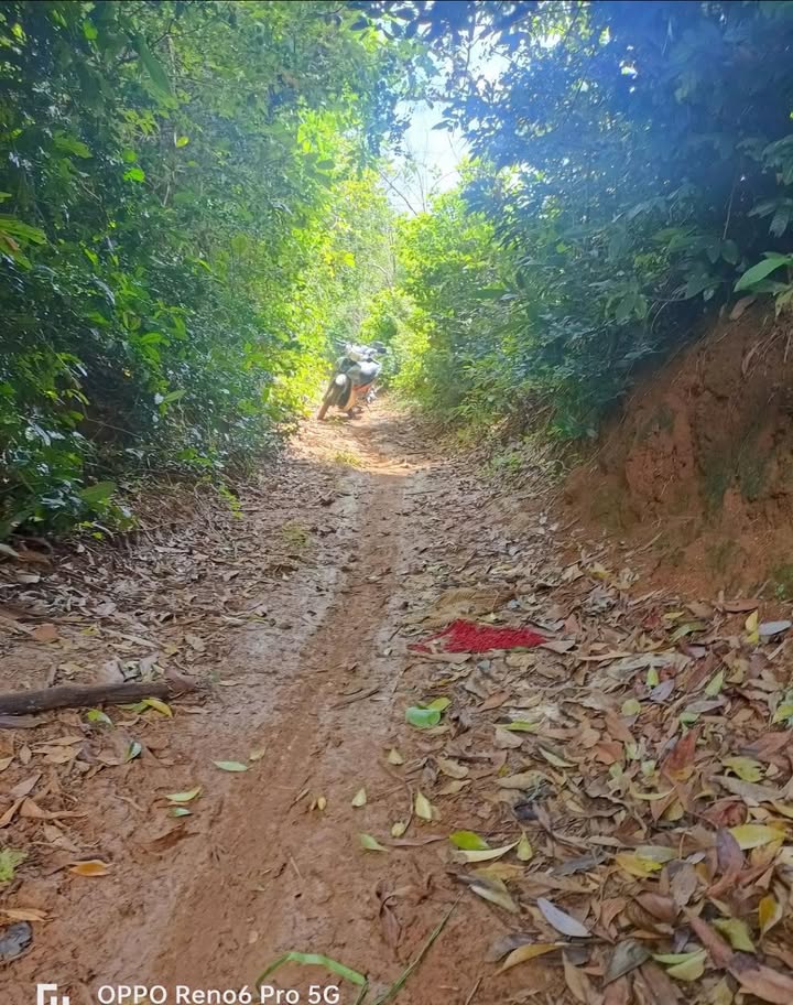 Đất nền 2 sào Bình Trị 250 triệu - Đường xe ba gác vào tận nơi!