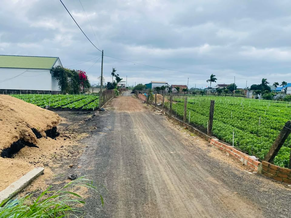 Đất nền Ea Kmút 336m² giá chỉ 3xx triệu - Đầu tư sinh lời ngay hôm nay!