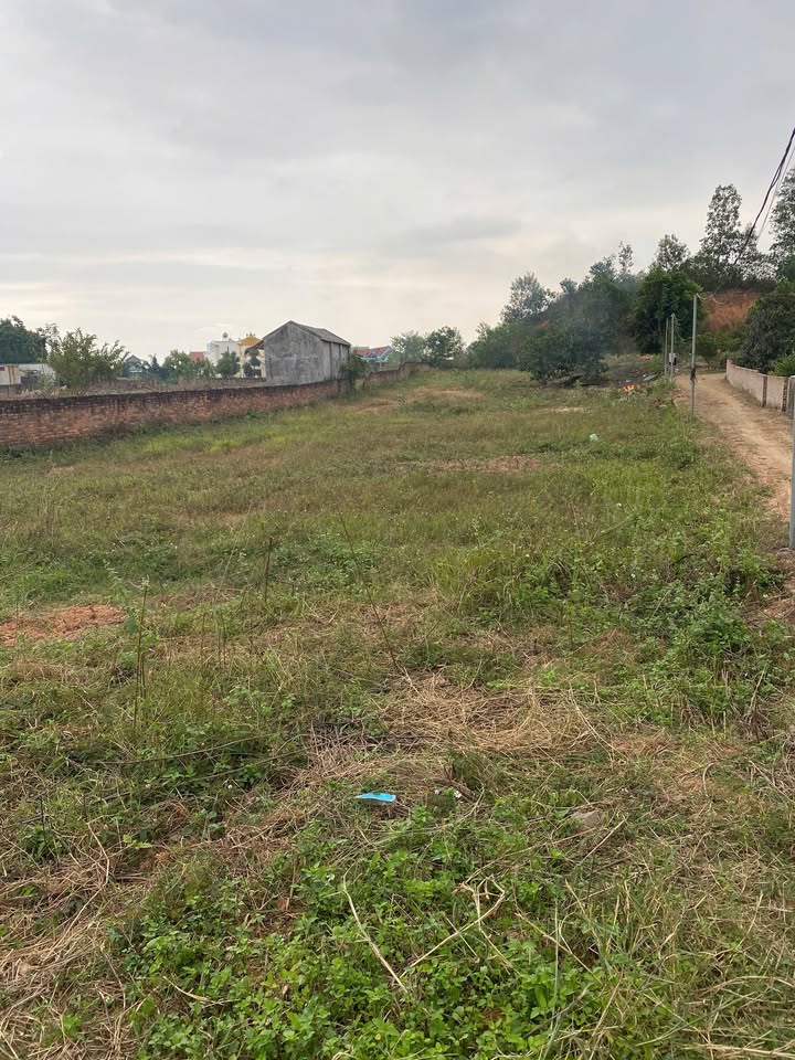 Đất nở hậu 1500m² tại Minh Trí, Sóc Sơn - Giá thỏa thuận, vị trí đẹp!