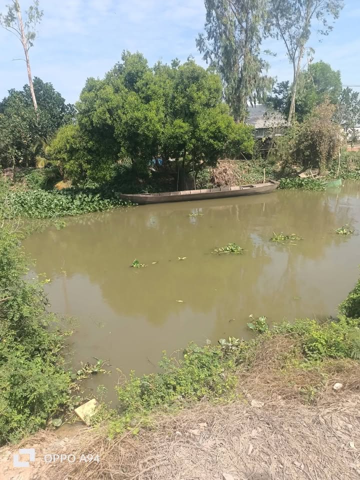 Đất nông nghiệp Thạnh Lợi, Tháp Mười 14000m² giá 160 triệu - Đầu tư sinh lời ngay!