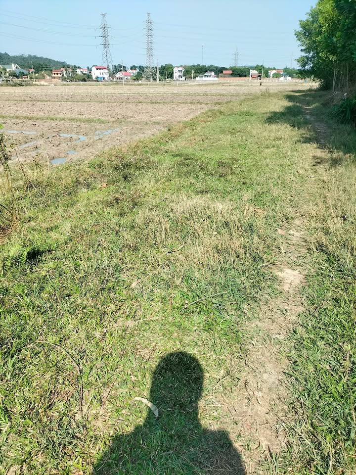 Đất nông nghiệp Phù Linh Sóc Sơn 18,000m² - Giá cực hấp dẫn