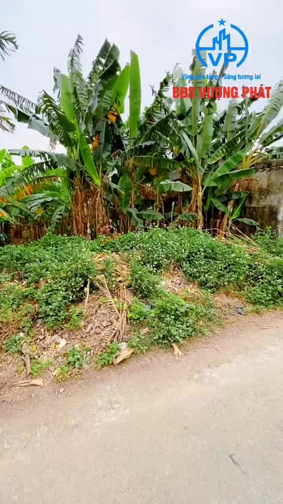 Đất nền Xuân Kiên 104m² giá thỏa thuận - Đón đầu cơ hội đầu tư!