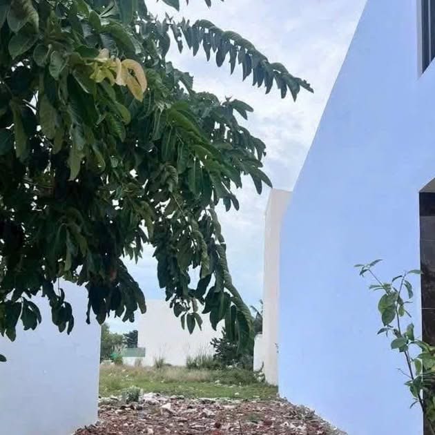 Đất mặt đường Số 2, Ngọc Hiệp, Nha Trang 99m² giá 5.35 tỷ - Đầu tư sinh lời!