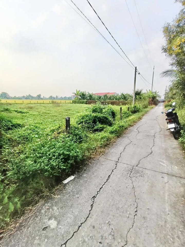 Đất lúa 1050m² tại phường 7, TP Tân An - Giá chỉ 2.2 tỷ, thương lượng ngay!