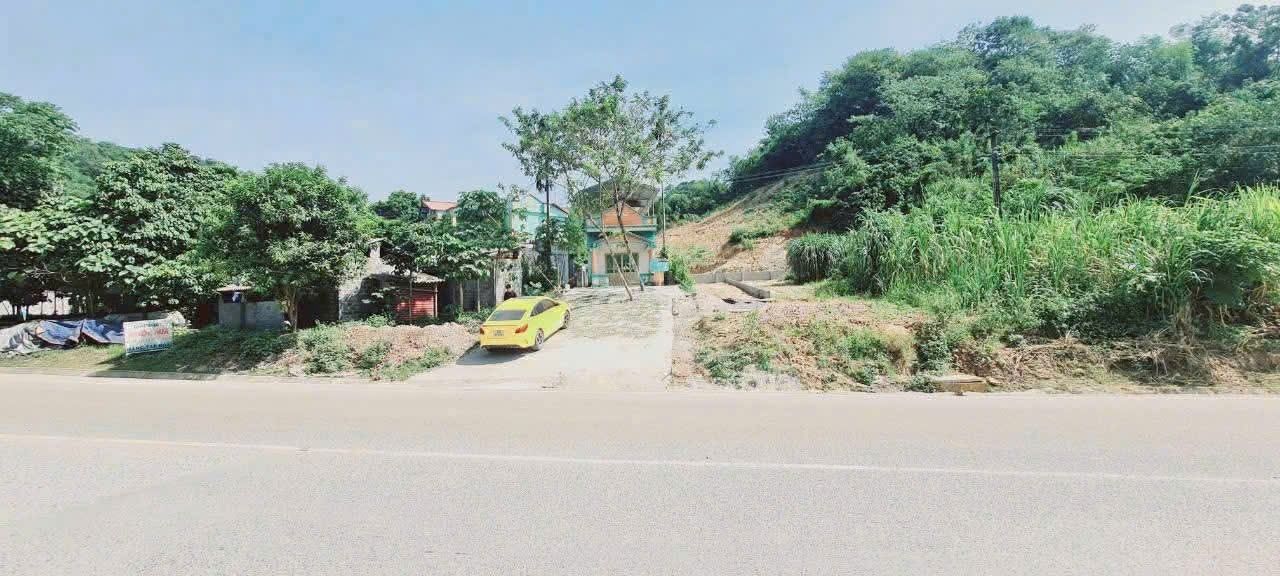 Đất nền đầu tư Lương Sơn 1850m² giá 1.15 tỷ - Mặt tiền đường Hồ Chí Minh!