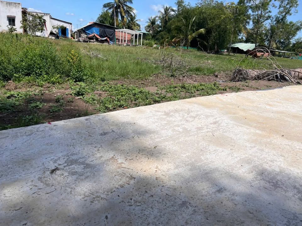 Đất thổ cư 380m² Bình Trinh Đông, Tân Trụ giá 650 triệu - Đầu tư sinh lời!