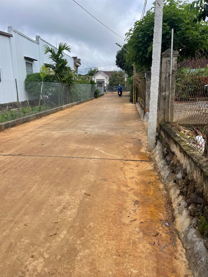 Đất nền đường Trần Văn Ơn, Thống Nhất, Buôn Hồ 96m² - Vị trí đẹp, giá tốt!