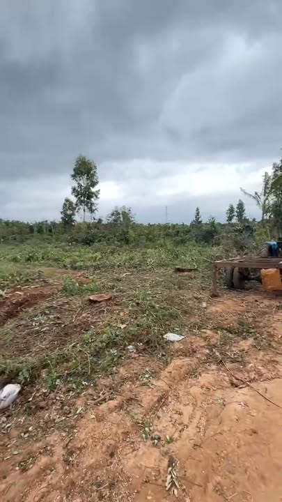 Đất nền Cư Kuin Đắk Lắk 2.5 sào giá 1.03 tỷ - Cơ hội đầu tư hấp dẫn!